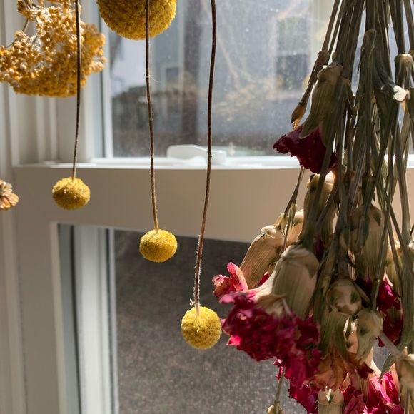 Meet your Posher, Anna - Picture 8 of 14